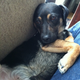Buster’s “I love you more than life itself” look